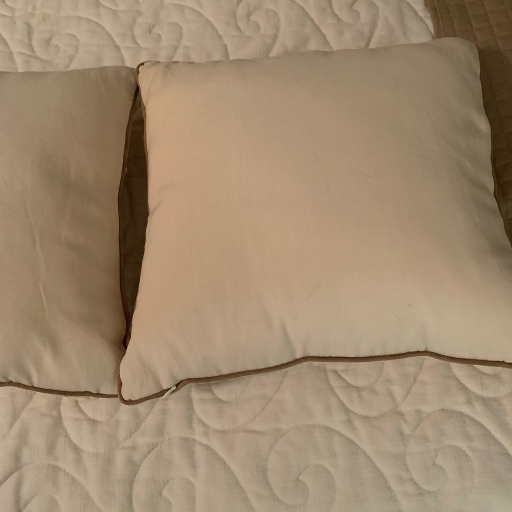 Two Adorable Custom throw pillows - Picture 2 of 2